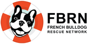 Rescue, Rehab, and Love: The French Bulldog Rescue Network's Mission to Save Lives