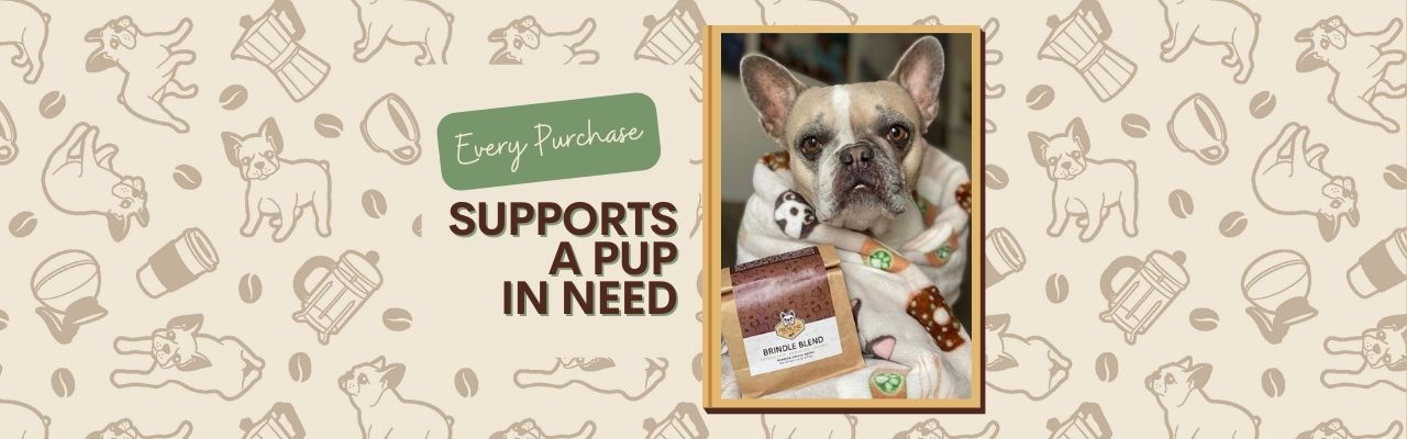 Frenchie Coffee Roasters - Main Image