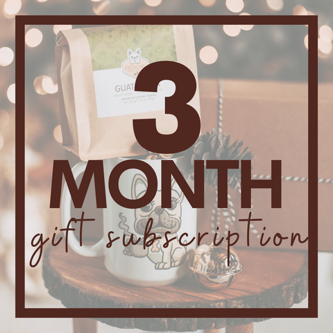 3 Month Gift Subscription
