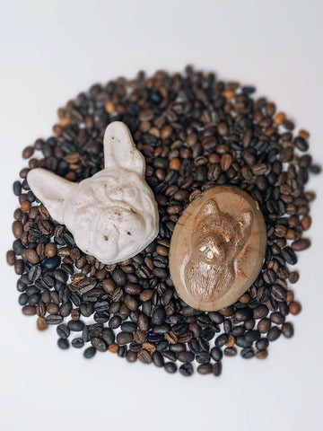 Pumpkin Pie Latte Soap - Frenchie Coffee Roasters